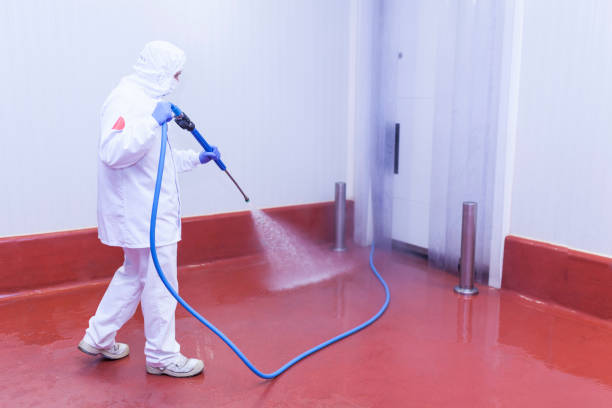 Trusted Burnham, IL Pressure Washing Services Experts