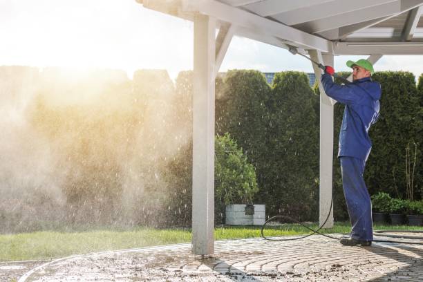 Best Roof Washing  in Burnham, IL
