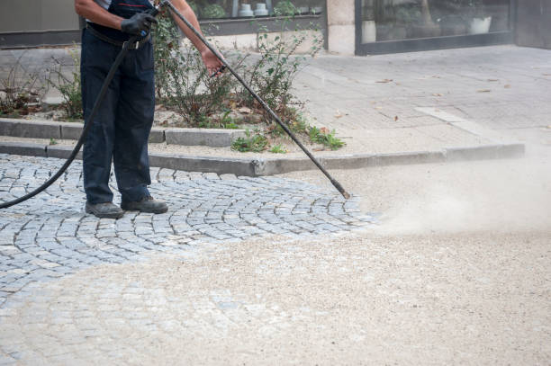 Best Gutter Cleaning  in Burnham, IL